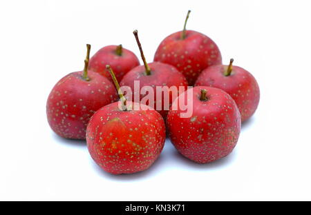 Chinese Red Hawthorn fruit isolated on white background Stock Photo