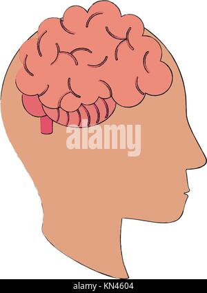 Human brain isolated Stock Vector