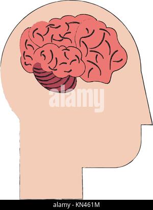 Human brain isolated Stock Vector