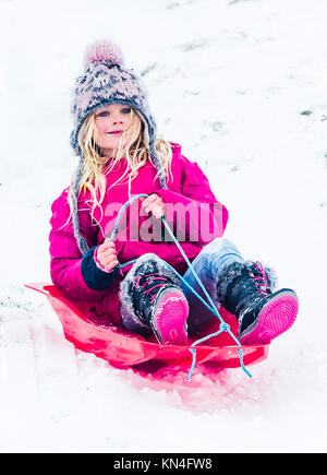 Ellie Spencer sledging near Mam Tor in the, Peak District National Park, as heavy snowfall across parts of the UK is causing widespread disruption, closing roads and grounding flights at an airport. Stock Photo