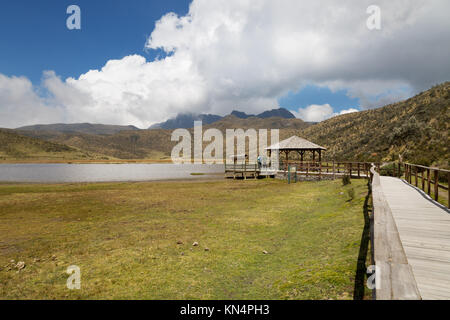 Tourists at a lookout, Lake Limpiopungo, Cotopaxi National Park, Ecuador, South America Stock Photo