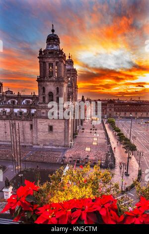 zocalo alamy