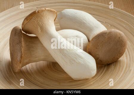 Fresh picked Pleurotus Eryngii straw mushrooms un cooked Stock Photo - Alamy