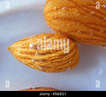 close up of Almond nuts dipped soak in water with water bubbles Stock Photo