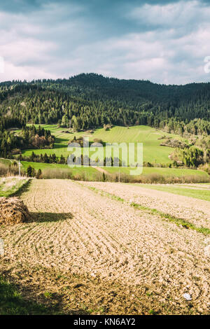 Landscape in the Pieniny region in Poland with green hills, agricultural farm field in sunlight Stock Photo