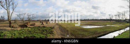 Panorama of grasslands and  reedlands near Dwarsgracht Giethoorn The Netherlands Stock Photo