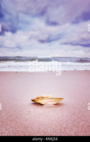 Broken shell on a beach, shallow depth of field, color toned picture, natural background. Stock Photo