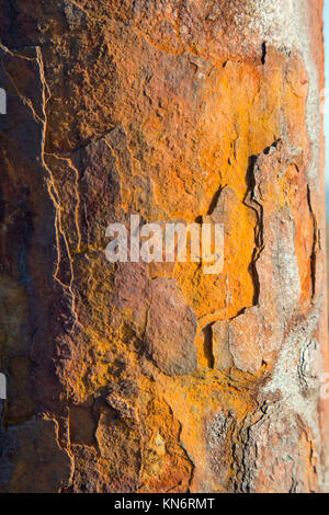 Close up on a very weathered corroded iron post at the coast. Stock Photo