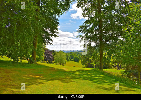 This image of the parkland view from grounds of Chatsworth House, Derbyshire UK is a fine example of the quintessential English Countryside. Stock Photo