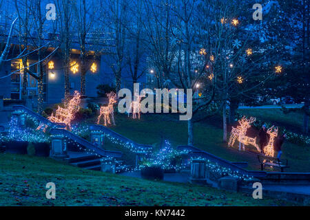 Holiday Light display, Lafarge Lake, Town Centre Park, Coquitlam, British Columbia, Canada. Stock Photo