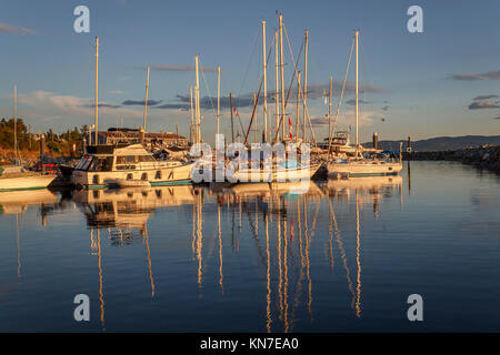 On a calm summer evening, sunshine illuminates pleasure yachts and their reflections at the Westview marina in Powell River, British Columbia. Stock Photo