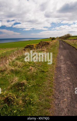 View from the Cinder Track from near Hawsker Bottom on east coast of North Yorkshire, located between Whitby and Robin Hoods Bay. Stock Photo