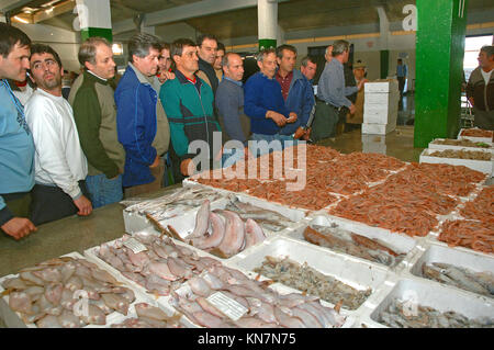 Fish auction - buyers, Fishing port of the Bonanza district, Sanlucar de Barrameda, Cadiz provincia, Region of Andalusia, Spain, Europe Stock Photo
