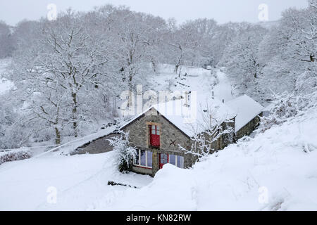 Snow scene and pretty renovated stone barn house surrounded by trees with red door and window trim nestled amidst snow covered branches of trees, hills and shrubs December 2017 at Christmas time in Carmarthenshire Wales UK    KATHY DEWITT Stock Photo