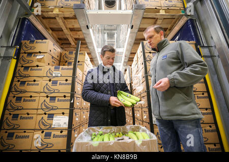 Stefan Worm (L), leader of Edeka Fruchtkontor Nord, talks to fruit ripening master Patrick Muenzner about the state of maturity of bananas in a ripening chamber from the new banana ripening store of the provision merchant in Borna, Germany, 15 November 2017. The green fruit ripens here under supervision for several days before they hit the shelves. The banana is a decisive economic factor: about 10 percent of Edeka's fruit and vegetable sales revenues is generated through bananas and pineapples. The banana is Germany's second favourite fruit after apples. The average German household buys an a Stock Photo