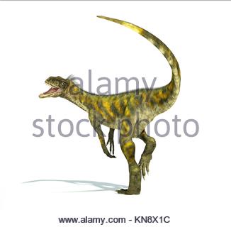 Model of a big T Rex dinosaur with a big open mouth and lots of sharp ...