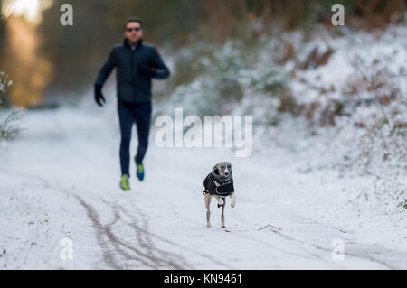 Man running after his dog in the snow along a forest track. Stock Photo