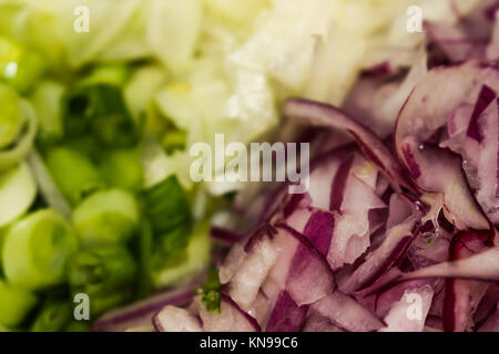 Green onions, red onions, and spanish onions arranged in a bowl ready for consumption Stock Photo