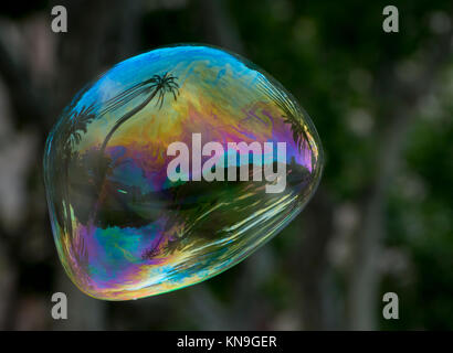 Reflection n the soap bubble Stock Photo