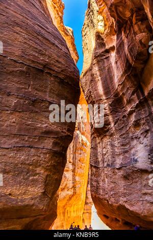 Outer Siq Yellow Canyon Morning Hiking To Entrance Into Petra Jordan Petra Jordan. Colorful Yellow Pink Canyon becomes rose red when sun goes. The