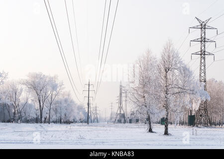 White pathway through frozen dense snowy forest. Beautiful winter cityscape. Power line in the snow. Electrification. Stock Photo