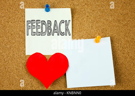 Conceptual hand writing text caption inspiration showing Feedback concept for Opinion Information Positive Negative Feedback and Love written on stick Stock Photo