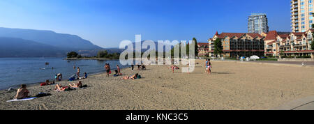 Summer, Tugboat Bay Beach, Waterfront park, Kelowna City, Okanagan Lake, British Columbia, Canada. Stock Photo