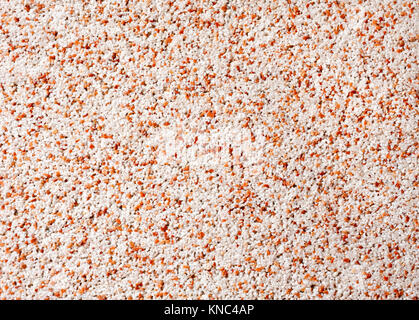 Closeup of  wall, texture background. Background of the texture wall Stock Photo