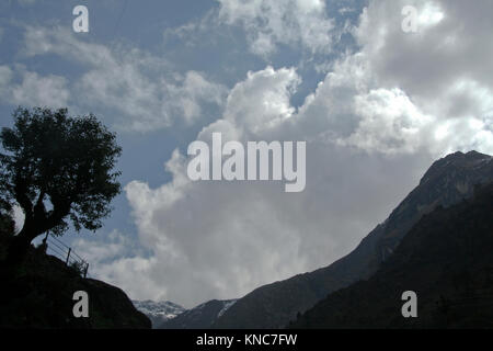 Tree and mountain silhouetted against bright clouds Stock Photo