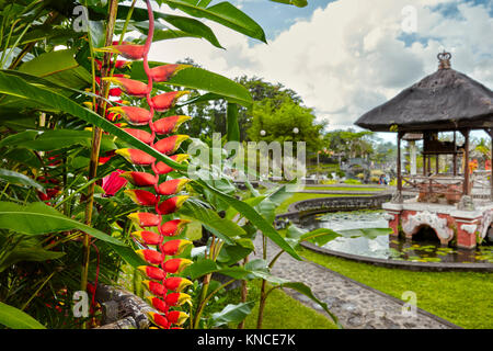 Red Heliconia flower in the garden of the Tirta Gangga Water Palace. Karangasem regency, Bali, Indonesia. Stock Photo