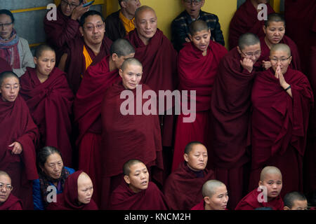 Tibetan monks gather at Dalai Lama Temple Complex in Mcleod Ganj, India Stock Photo