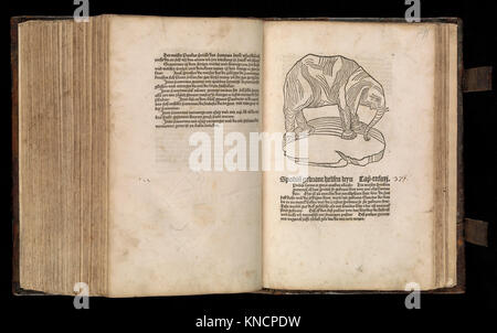 This illustration from 'Gart der gesuntheit Ortus sanitatis,' known