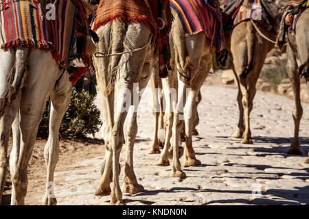 Scenes from the ancient Nabayean city of Petra, Jordan Stock Photo