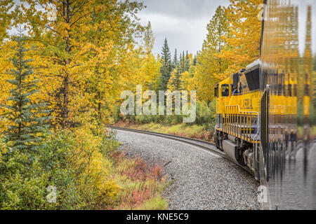 McKinley Explorer Train on the Alaska Railroad heading towards Denali National Park in the fall (autumn) Stock Photo