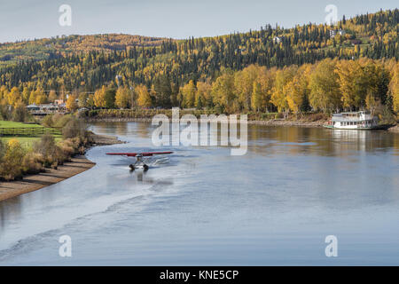 Floatplane landing on the Chena River in the fall (autumn) in Fairbanks, Alaska, USA Stock Photo