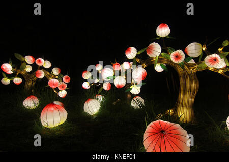 Low angle view of illuminated Chinese lanterns hanging in a tree Stock Photo