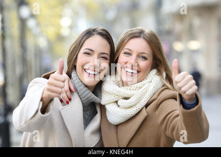 Fashion Friends. Winter Clothes. Women Wear Down Jacket with Furry Hood  Stock Image - Image of jackets, pretty: 218930803