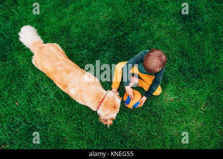 Overhead view of a boy sitting on the grass with a ball playing with his golden retriever dog Stock Photo