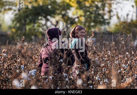 Cotton pickers in the Khiva countryside, Xorazm Region, Uzbekistan, October 28, 2017    Credit © Jacopo Casaro/Sintesi/Alamy Stock Photo Stock Photo