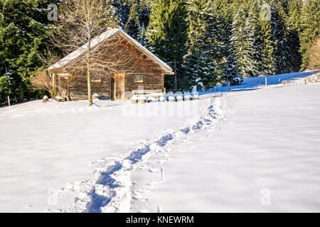 Footprints in snow leading to old wooden cabin and forest. Allgau, Bavaria, Germany, Alps. Stock Photo