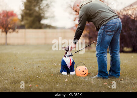 Man in park petting his boston terrier wearing business attire for halloween Stock Photo