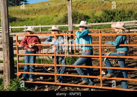 cowboy on fence, wildwest, Oregon, USA – Acheter l'image – 70084083 ❘  lookphotos