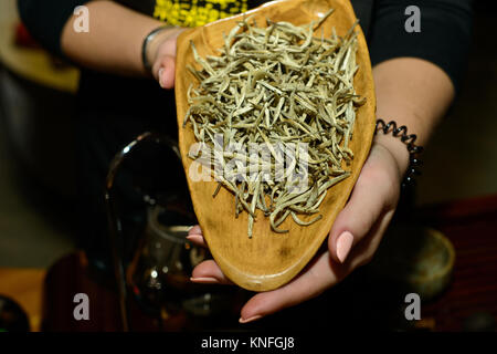 White Chinese tea. baihao yinzhen - 'Silver Needle white-haired' Elite tea is produced from the upper leaf buds. Volgograd. Volgograd region. Russia - Stock Photo