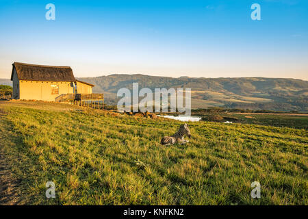 Picturesquely situated lodge in the Drakensberg mountains, South Africa. The center of the photo shows a baby zebra lying in the grass. The lodge is i Stock Photo