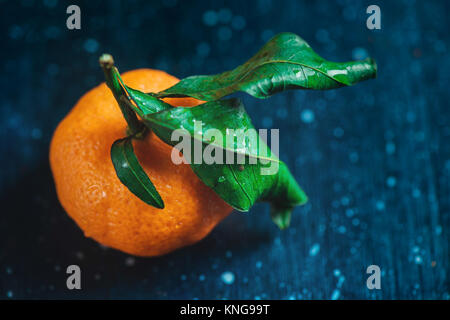 Tangerine close-up on a dark background. Water drops on a surface and green leaves. Dark food photography with vibrant orange fruit and copy space. Stock Photo