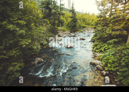 Valley landscape. Flowing river. The Tatras. Stock Photo