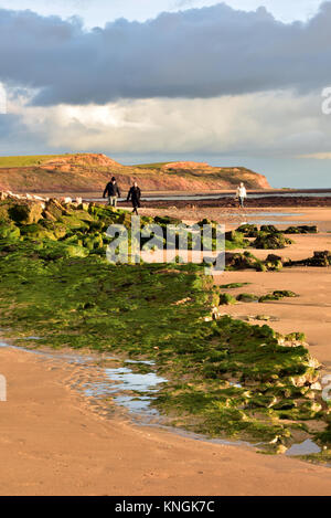 people walking along the beach at Compton bay on the isle of wight on a cloudy and autumnal stormy day. Seaweeds and rocks on a bright and cloudy day. Stock Photo
