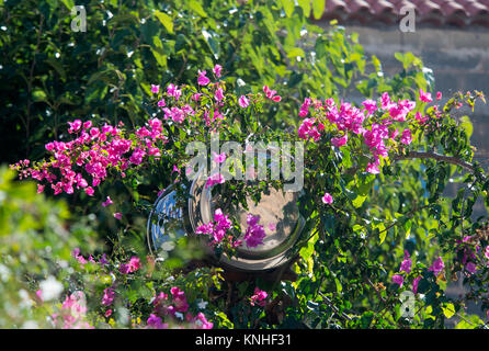 solar water heater tank on a rural Greek house roof, covered in flowers Stock Photo