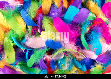 Background texture of brightly colored dyed bird feathers in the colors of the rainbow or spectrum in a random pile viewed from above in a full frame  Stock Photo