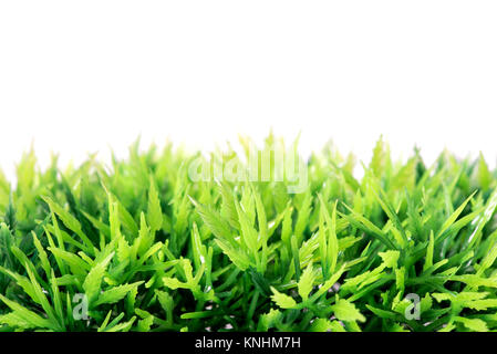 Bright green artificial plastic grass in a close up view isolated on white with copy space above Stock Photo